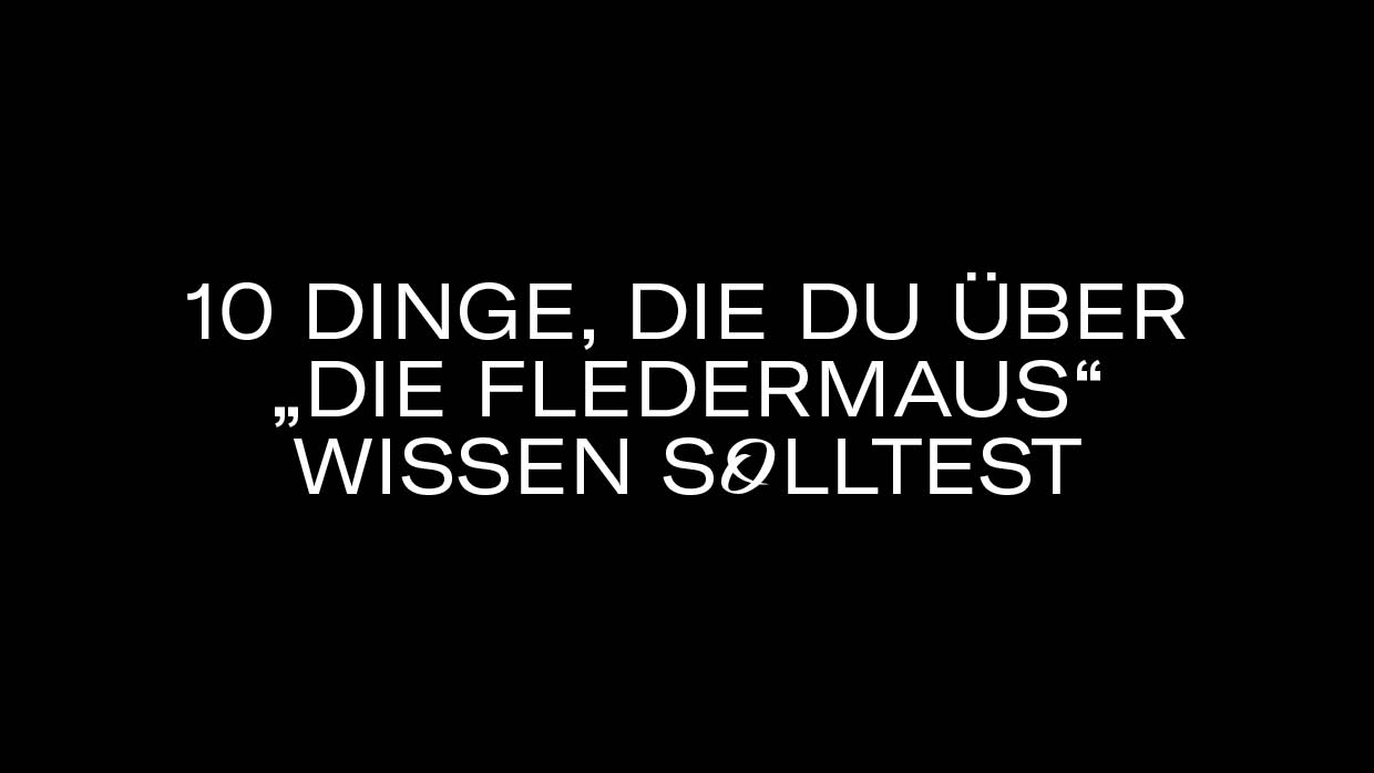 10 Dinge Fledermaus3 10 Dinge Fledermaus3