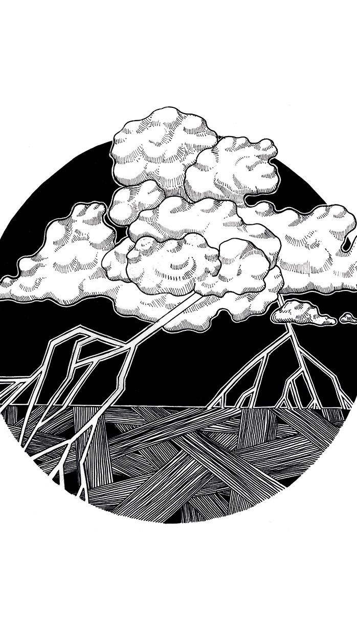 Sorg Alina Donnerblech