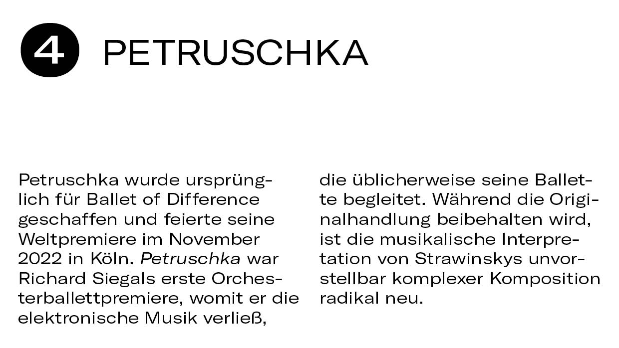 10 Dinge NewBalletsRusses7