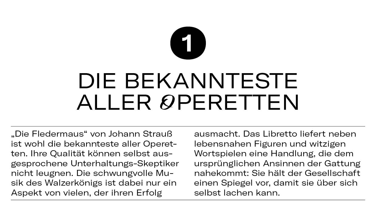 10 Dinge Fledermaus4 10 Dinge Fledermaus4