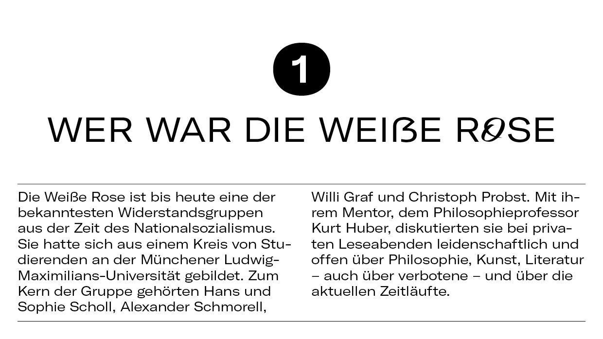 10 Dinge WeisseRose3