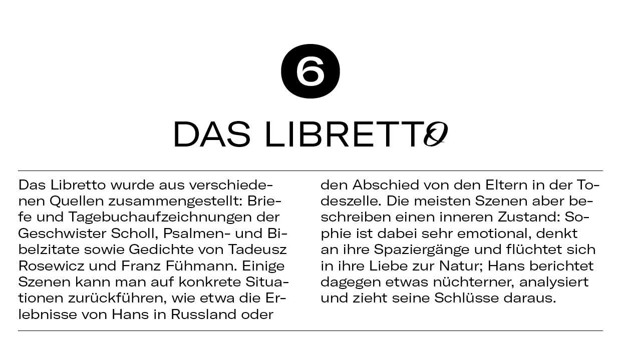 10 Dinge WeisseRose8