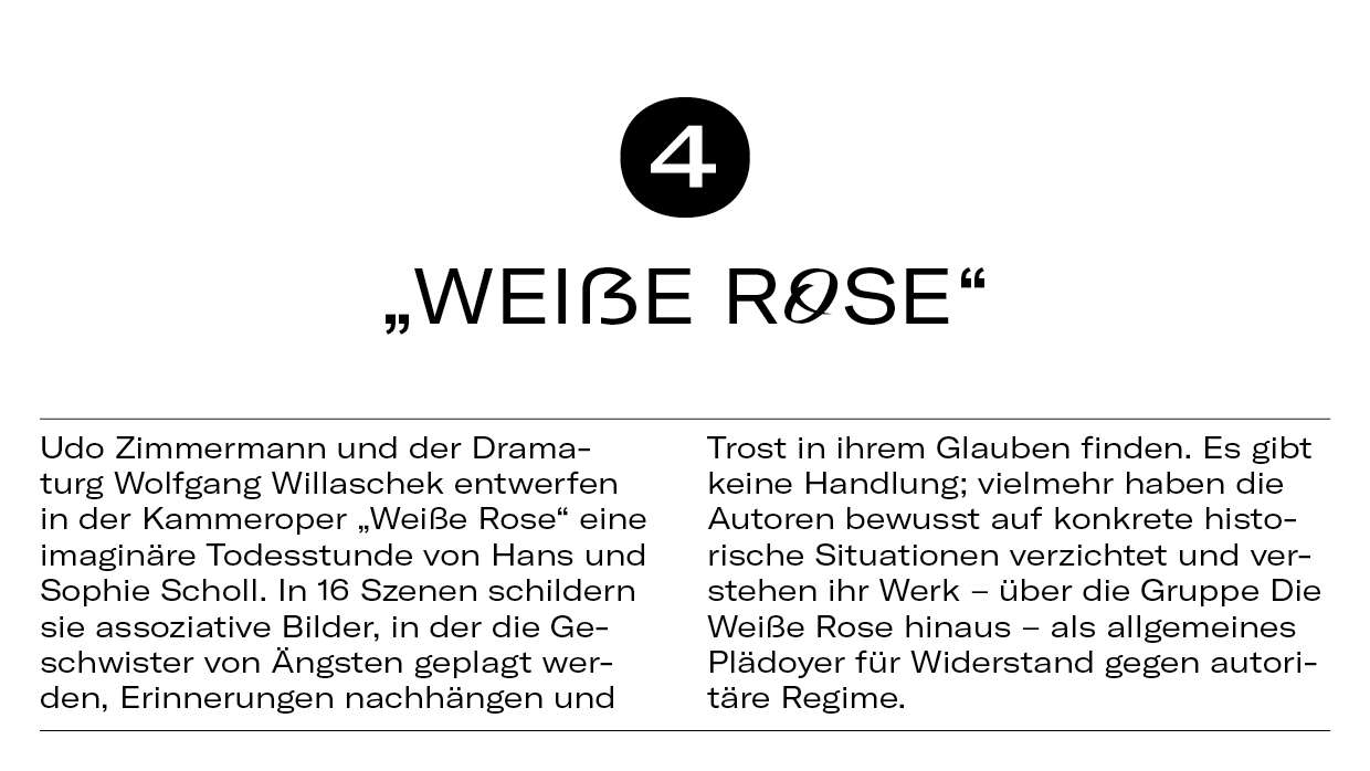 10 Dinge WeisseRose6