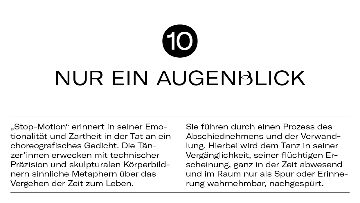 10 Dinge Stop-Motion13