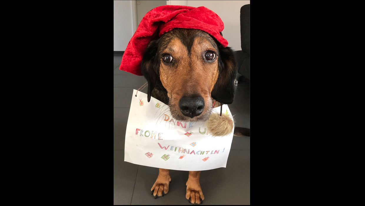 Wunschzettel Danke Wunschzettel Danke