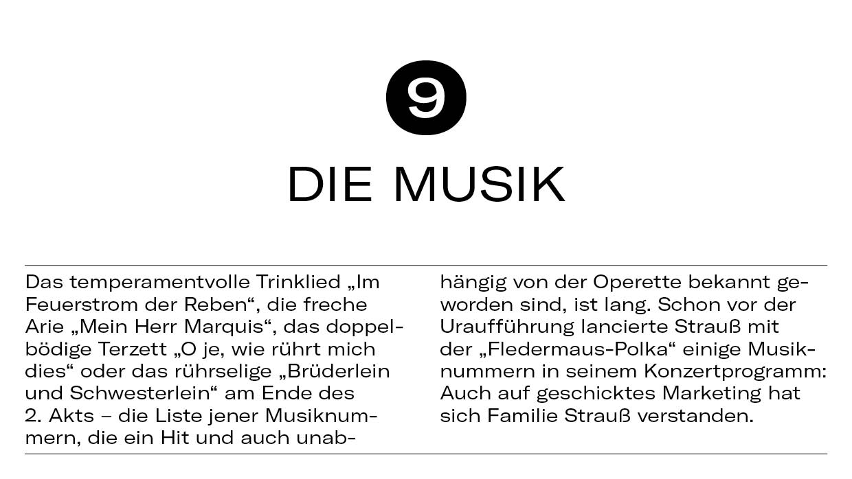 10 Dinge Fledermaus12 10 Dinge Fledermaus12