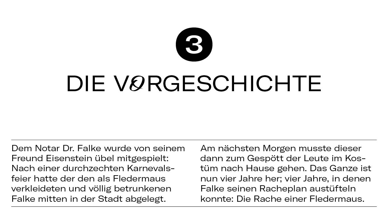 10 Dinge Fledermaus6 10 Dinge Fledermaus6