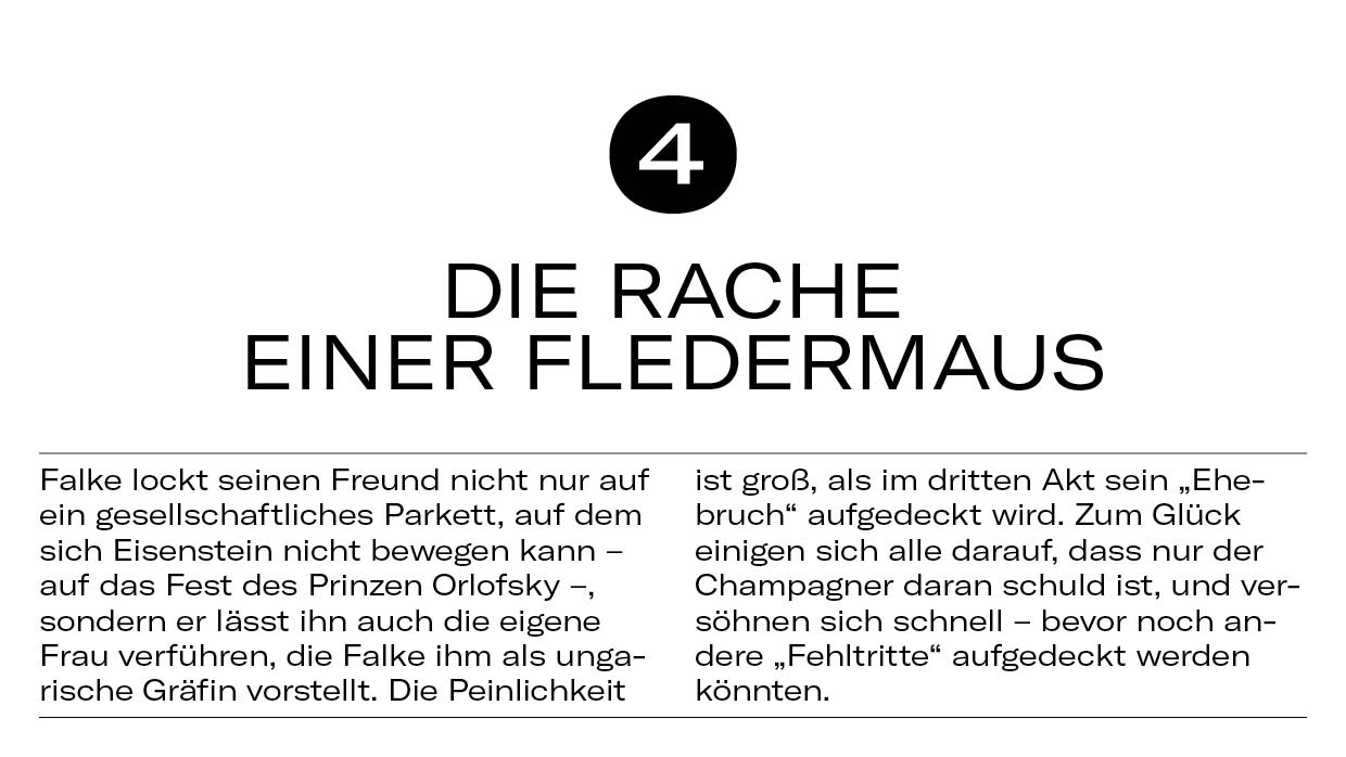 10 Dinge Fledermaus7 10 Dinge Fledermaus7