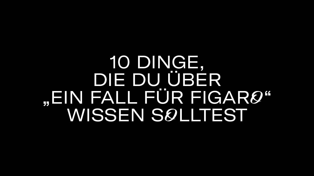 10 Dinge EinFallfuerFigaro3